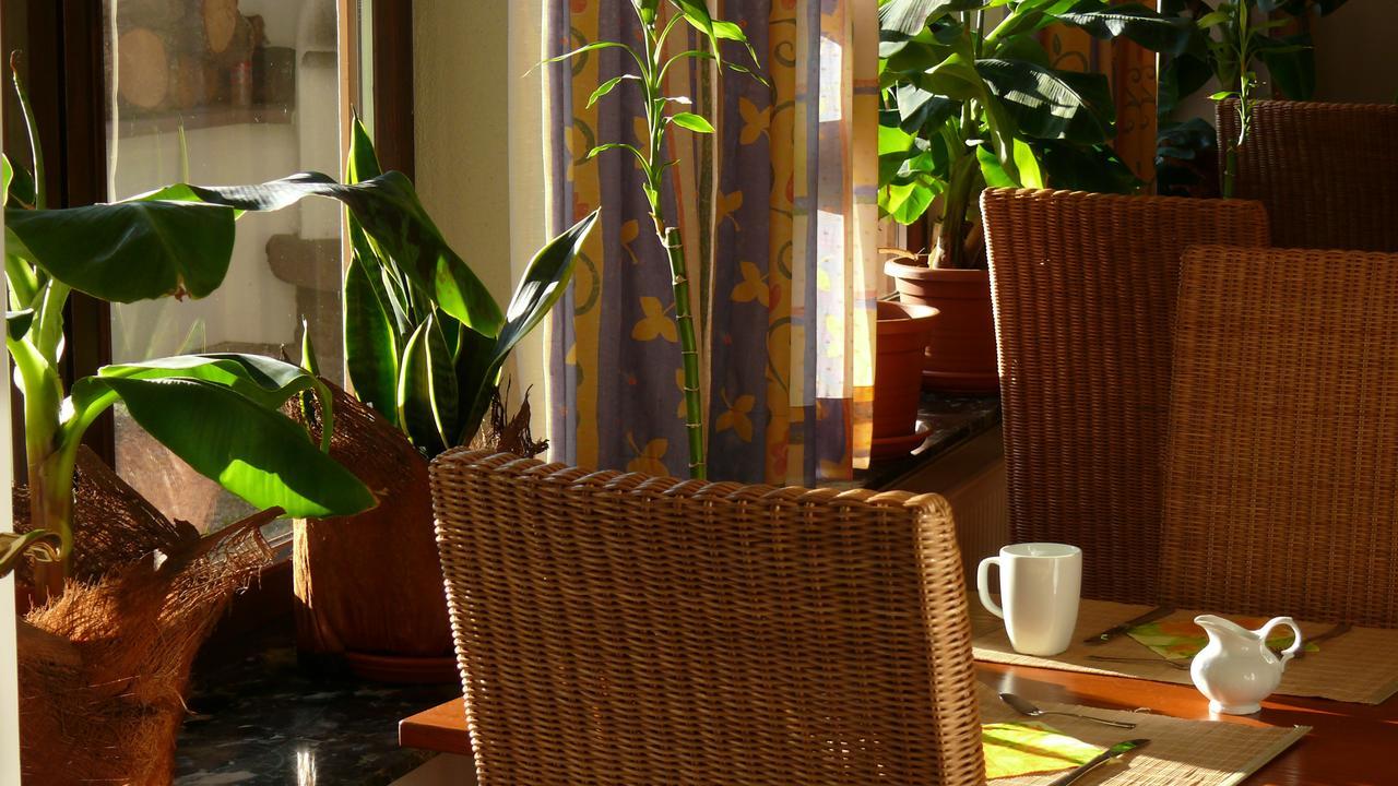 Resorthotel Park-Hill Loßburg المظهر الخارجي الصورة